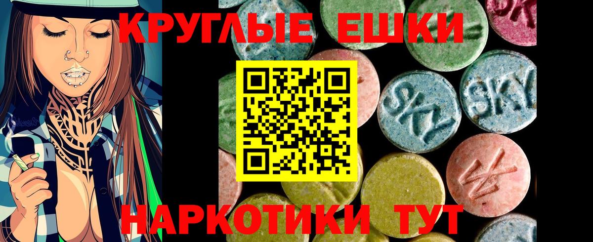 ЭКСТАЗИ Philipp Plein  Вход с VPN  Зерноград  Экстази VHQ 
