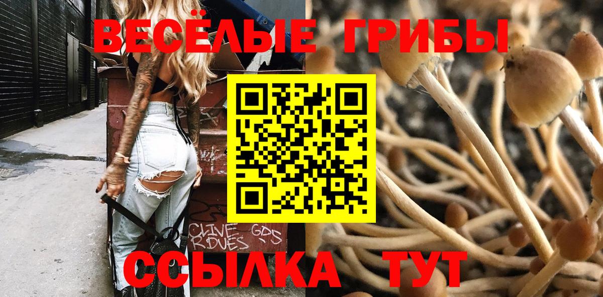 Зерноград  Псилоцибиновые грибы Cubensis  Псилоцибиновые грибы Psilocybe  Вход с VPN 