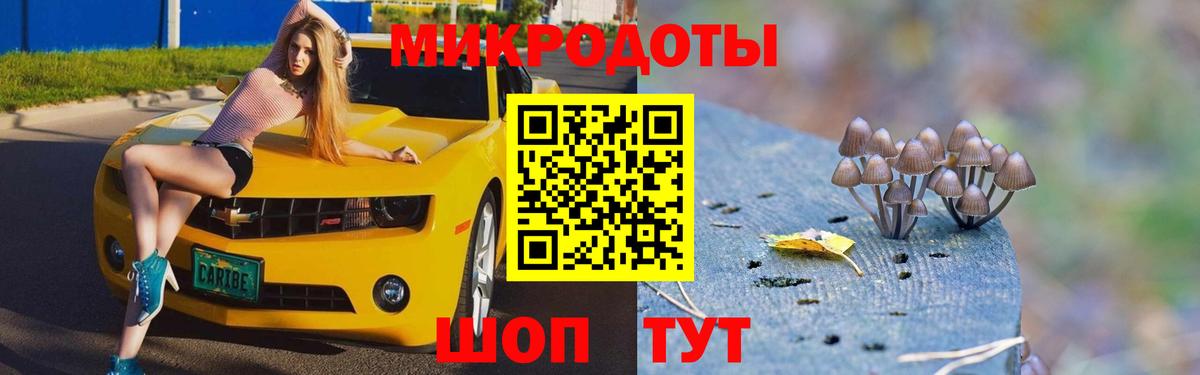 Псилоцибиновые грибы Magic Shrooms Зерноград